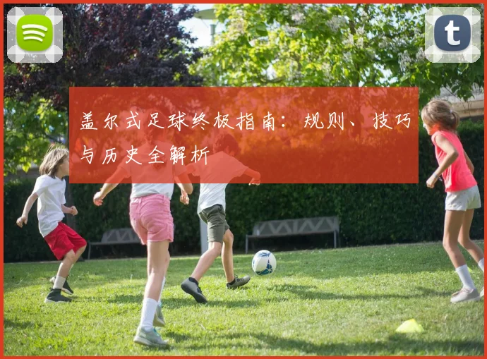 盖尔式足球终极指南:规则、技巧与历史全解析